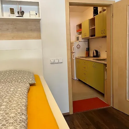 Apartman U Tesaka - Ricky V Orlickych Horach Exterior photo