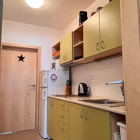Apartman U Tesaka - Ricky V Orlickych Horach Exterior photo