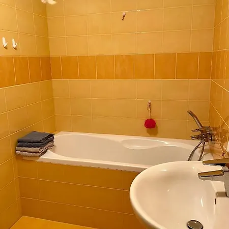 Apartman U Tesaka - Ricky V Orlickych Horach Exterior photo