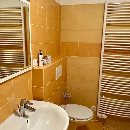 Apartman U Tesaka - Ricky V Orlickych Horach Exterior photo