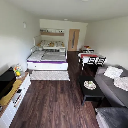 Apartman U Tesaka - Ricky V Orlickych Horach Exterior photo