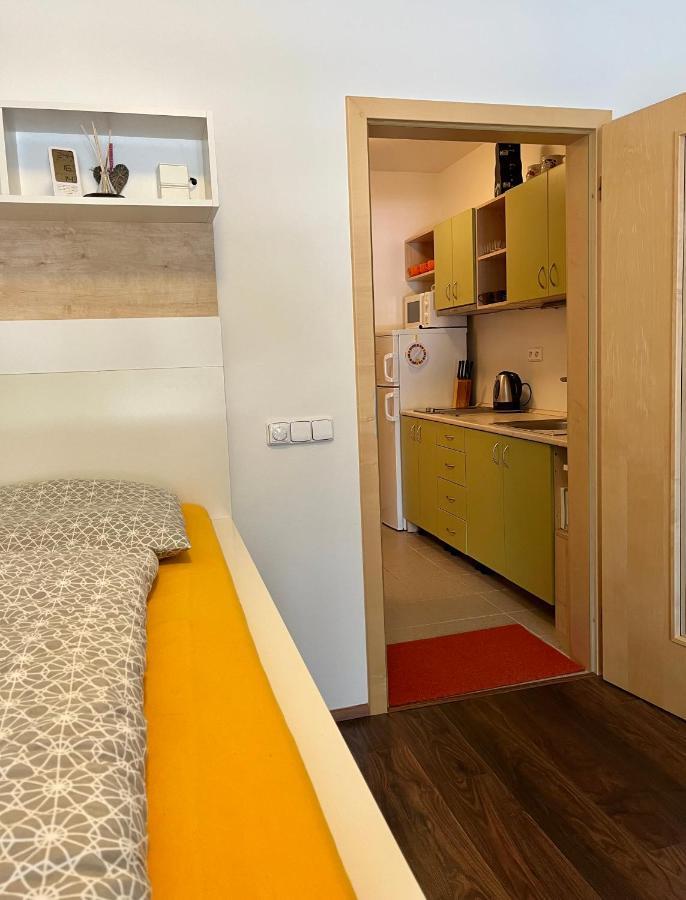 U Tesaka - V Orlickych Horach Apartment *