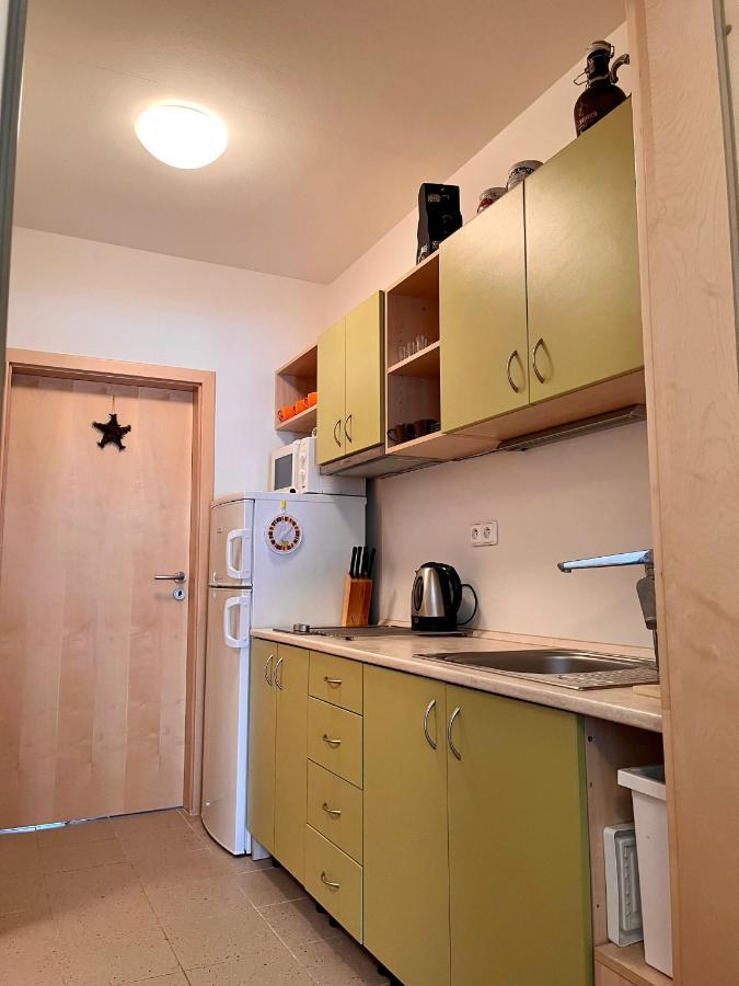 U Tesaka - V Orlickych Horach Apartment Ricky (Hradec Kralove)