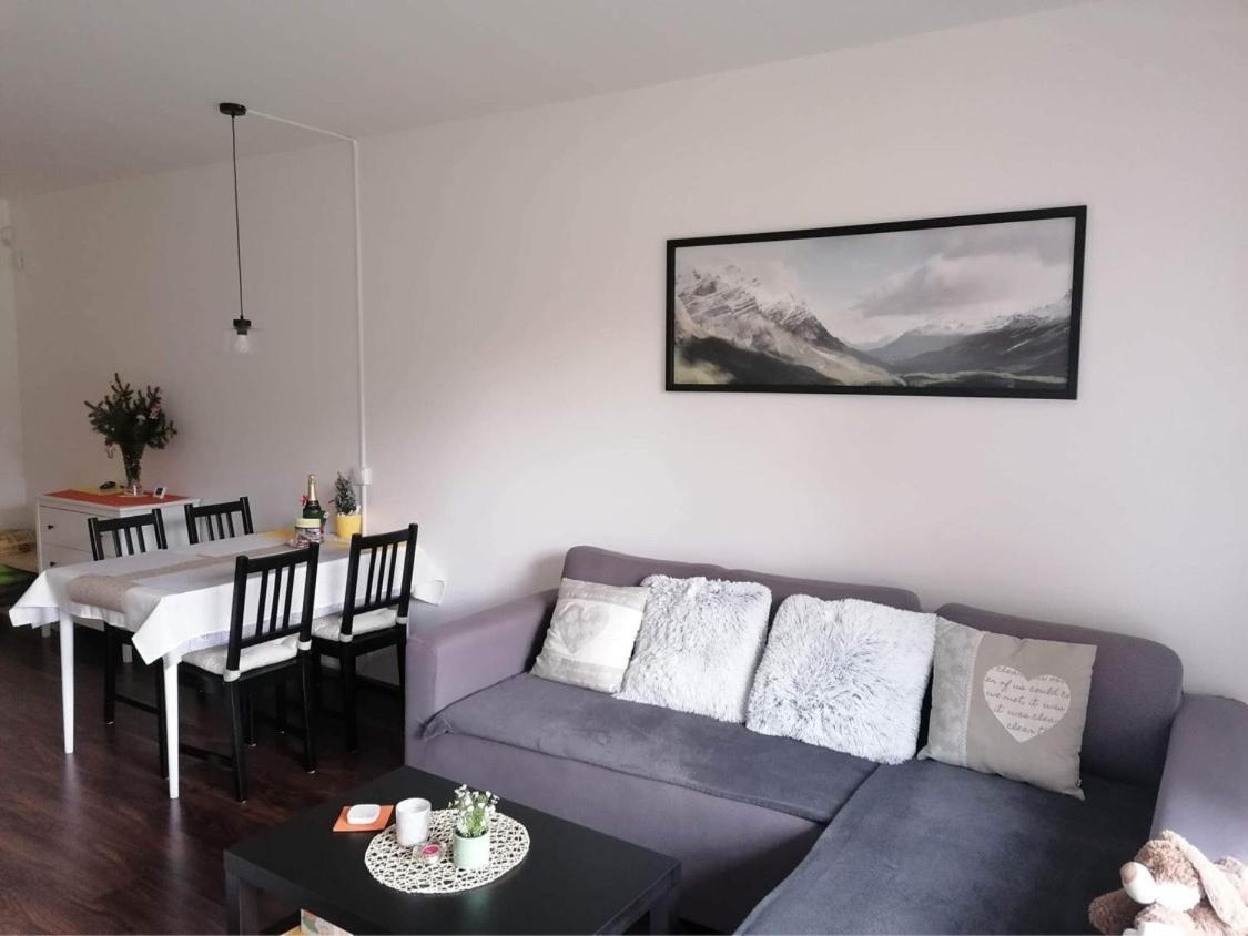 U Tesaka - V Orlickych Horach Apartment Ricky (Hradec Kralove)